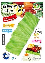 シンカテック 抗菌ベジカベ G-レタス 約W13×D4.5×H1.5cm