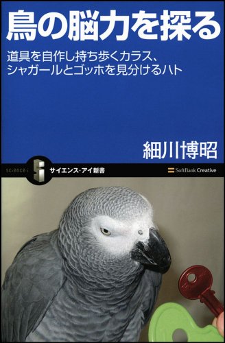 鳥の脳力を探る (サイエンス・アイ新書) 鳥の脳力を探る (サイエンス・アイ新書)