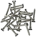 The Hillman Group 832036 5/16 x 2-Inch Stainless Steel Hex Lag Screw, 50-Pack by The Hillman Group