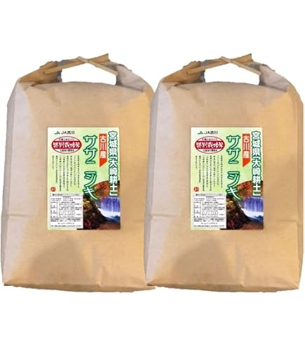Amazon.co.jp: 【当日精米】宮城県産 ササニシキ 玄米時10kg 令和7年度