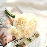 ソープフラワー 石鹸花 カーネーション 美しい 模擬 花束 人工花 ホーム ウェディング デコレーション 母の日 ギフト プレゼント おしゃれ
