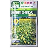 ひまわり 種子 タキイ種苗 緑肥用ひまわり (60ml （およそ9m2分))