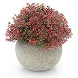 velener Miniプラスチック人工松ボールトピアリーPlant Pots for Home Decor (レッドクローバー)