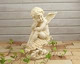 野川農園 うたたねエンジェル