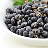 犬 おやつ 無添加 国産 黒豆 大豆 北海道産 犬のおやつ いぬ ドックフード グッズ ペット ご褒美 フード プレゼント 猫 ペット用 元気のたね (500g)