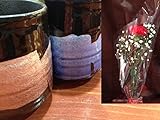 母の日ギフトセット…カーネーション&九谷焼ペア湯のみ*黒銀彩(青・ピンク)