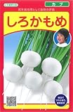 武蔵野種苗園 カブ しろかもめ [4ml]