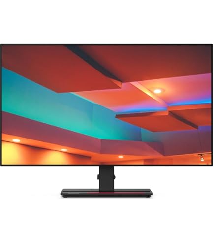Lenovo ThinkVision P27q-20 ディスプレイ 本体 ThinkVision P27q-20 27