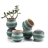 T4U 2.75 インチ 陶器鉢 サマートリオ NO.1 多肉植物 サボテン鉢 フラワーポット プランター容器 緑 6個いり