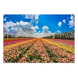Qinunipoto 背景布 花柄 花咲く 青空 パーティー飾り 記念写真 1.5x1m 多機能 壁掛け タペストリー リモートビデオバックグラウンド 室外活動バナー ポリエステル製