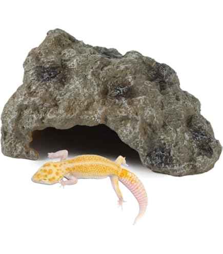 Amazon | GEX EXOTERRA レプタイルケイブM PT2852 爬虫類用シェルター