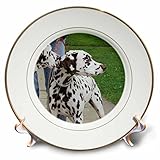 ジャッキー・Popp Nature N Wildlife animals – Dalmatians – プレート 8-Inch cp_21176_1