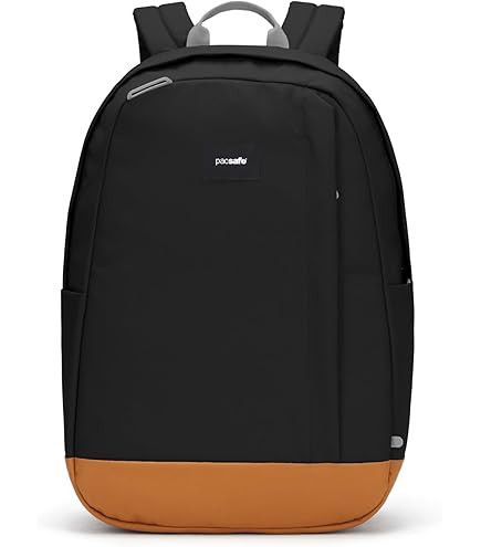 Amazon.co.jp: Pacsafeの盗難防止用バックパックとバッグプロテクター