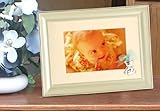 Silver Frame with Bear and Bow - Blue by Lawrence Frames [並行輸入品]