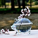 SHINA 1個 デスクトップ 小さな豚 型 ガラス 水栽培ポット 観葉植物 水耕栽培植物 ホームデコレーション