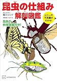 昆虫の仕組み 解剖図鑑