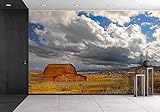 wall26 粘着式壁紙 大型の壁 壁画シリーズ 66"x96" WMR-WP-X-C123-66x24x4