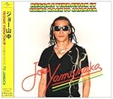 REGGAE VIBRATION IV GOING BACK TO JAMAICA