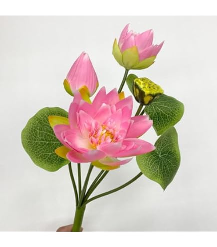 Amazon｜[ 2025年 ] お彼岸 お盆 お墓参り 蓮の花 ハス 1束 花 飾り