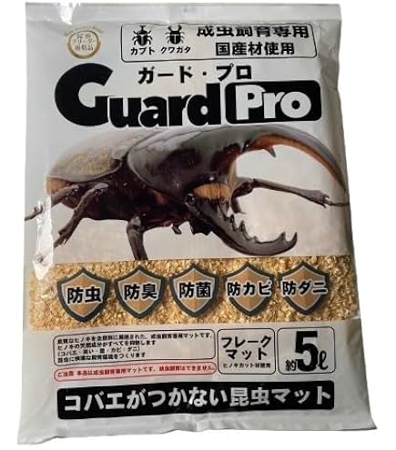 Amazon | 【アートオブヘラクレス】へラクレスオオカブト 成虫 オス