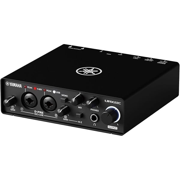 Amazon.co.jp: Steinberg UR22C 2x2 USB 3.0 オーディオ