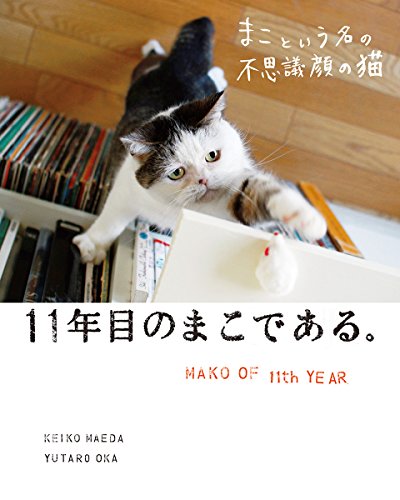 まこという名の不思議顔の猫　11年目のまこである。 / 前田 敬子,岡 優太郎