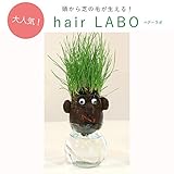 hair LABO boys（ヘアーラボ・ボーイズ）底面給水タイプ：メガネ（黒） ノーブランド品