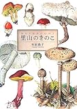 里山のきのこ
