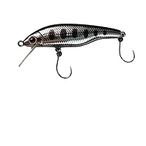 Amazon.co.jp: パームス RAPID ラピッド 45S 35th AL-519 裏ヤマメ