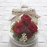 プリザーブドフラワー シーズン（レッド）