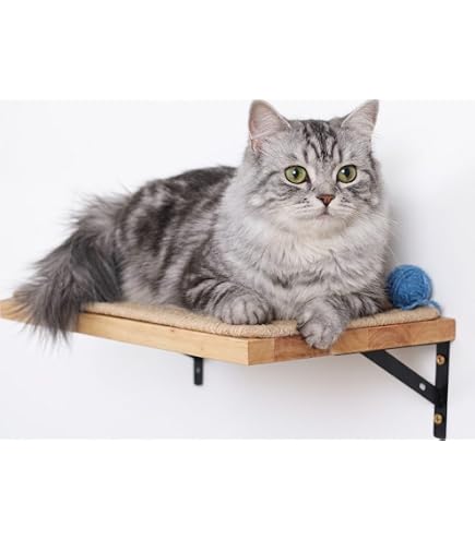 Amazon | MYZOO キャットステップ CORK-R | MYZOO | キャットタワー 通販