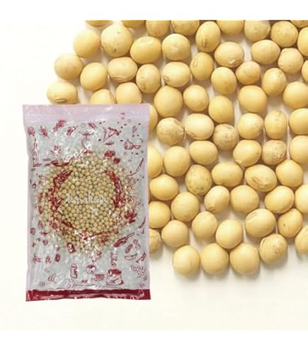 Amazon.co.jp: 輸入大豆 カナダ産大豆 NON-GMO（遺伝子組み換えでは