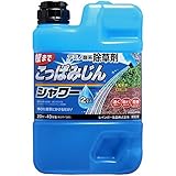 レインボー薬品 除草剤 こっぱみじんシャワー 2L