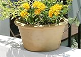 スペイン鉢 カリーナ (17cm) 白い植木鉢　テラコッタ　陶器鉢　