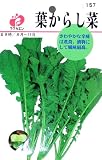 フクカエン 葉からし菜の種（タネ）