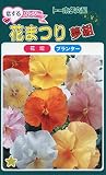 トーホク 恋するパンジー 花まつり夢組