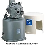 TERAL/テラル Nシリーズ （旧ナショナル） 深井戸ポンプ PG-305F-5 [50hz][単相100V][出力300W]