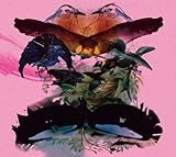 ROJUS / DESIGNED TO DANCE [Analog]