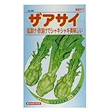 カネコ種苗  野菜タネ ザアサイ 10袋セット 496