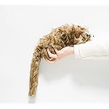 手品 マジック ラクーン ラッキー君 白顔 スプリングペット マギー 奇術 かわいい 動物 アライグマ ぬいぐるみ