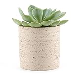 T4U 7CM 粘土 ミニ植木鉢 ストライブ円柱シェイプ 多肉植物 サボテン鉢 フラワーポット プランター容器 クリーム色