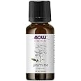 ジャスミン精油香料ブレンド[30ml]　【正規輸入品】　NOWエッセンシャルオイル(アロマオイル)
