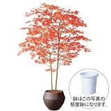 エフプランター 人工観葉植物-ヤマモミジ株立 RED-180-9号鉢-懸崖鉢