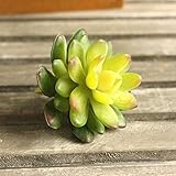 Kicode かわいいグリーンホームガーデン 人工多肉植物Unpotted （秋）