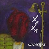 ���C���C