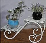 Plant shelf アイロンフラワーラック、リビングルームフラワーポットラックバルコニー盆栽フレームプラントディスプレイスタンド Flower racks ( 色 : B , サイズ さいず : 