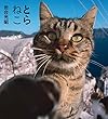 とらねこ (IWAGO'S BOOK)