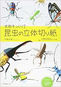 昆虫の立体切り紙 今森光彦 本 通販 Amazon