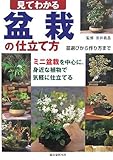 見てわかる盆栽の仕立て方