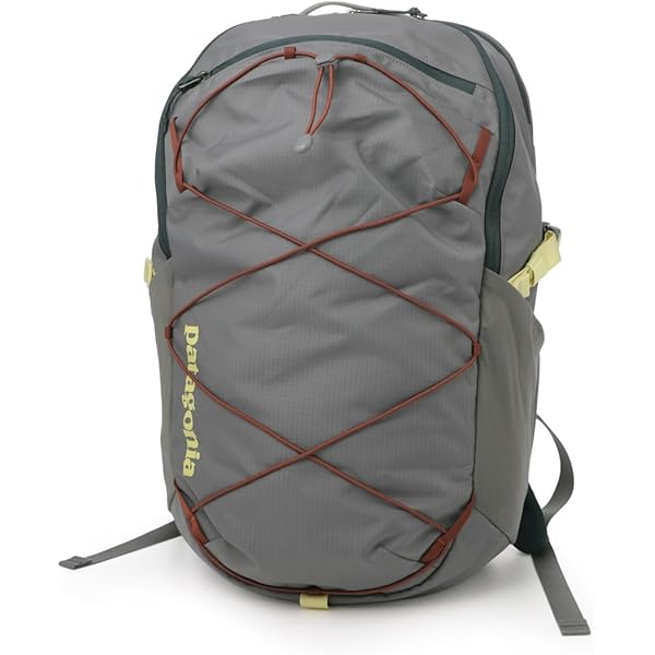 Amazon | [パタゴニア] バックパック デイパック リュック SNOW